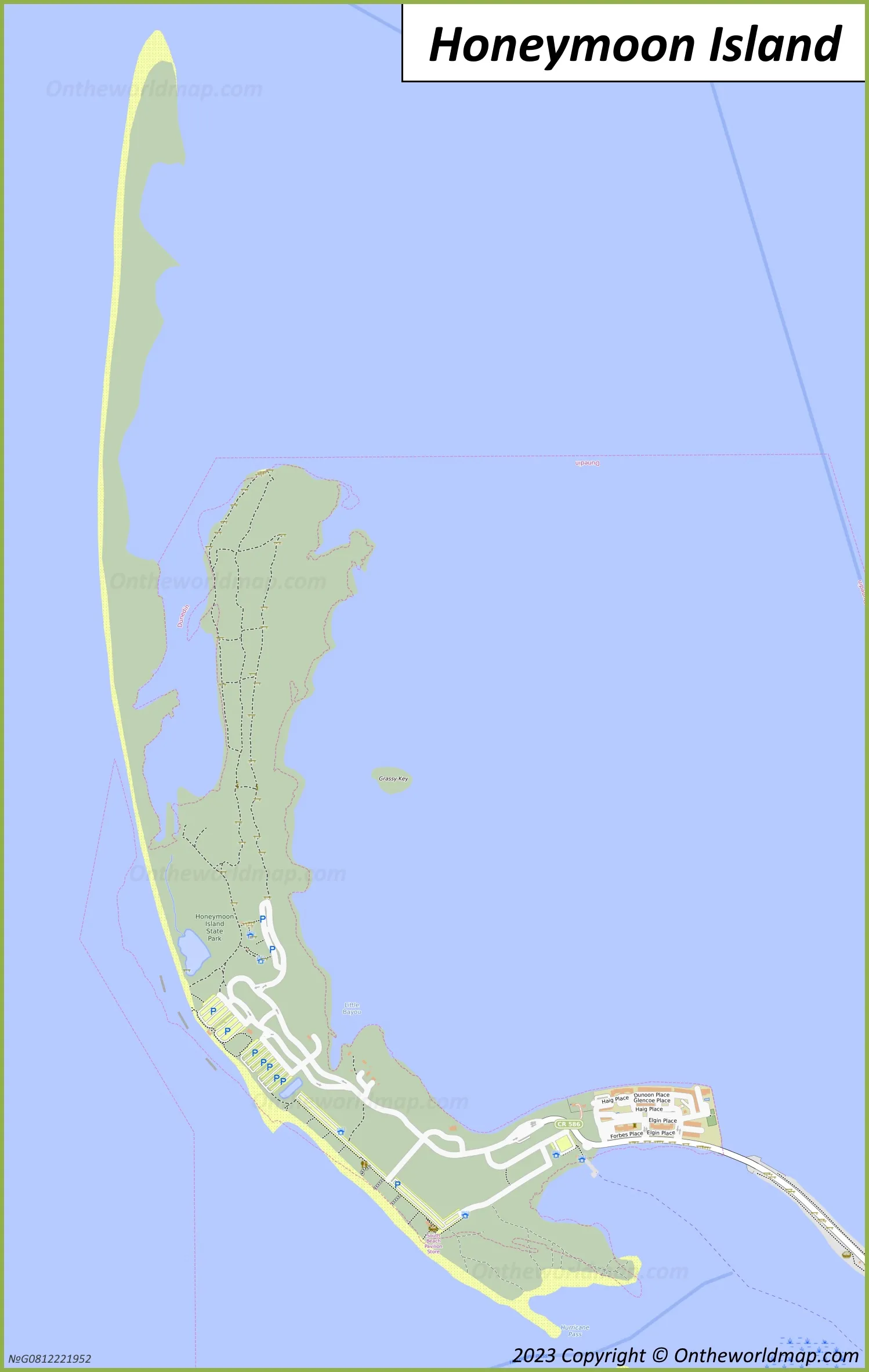 7304 honeymoon island dolphins