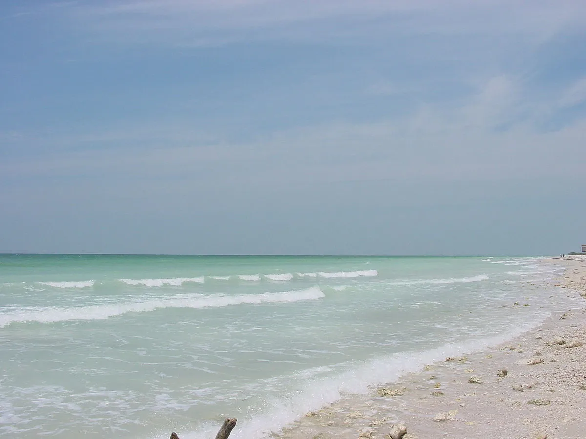 7304 honeymoon island picnic