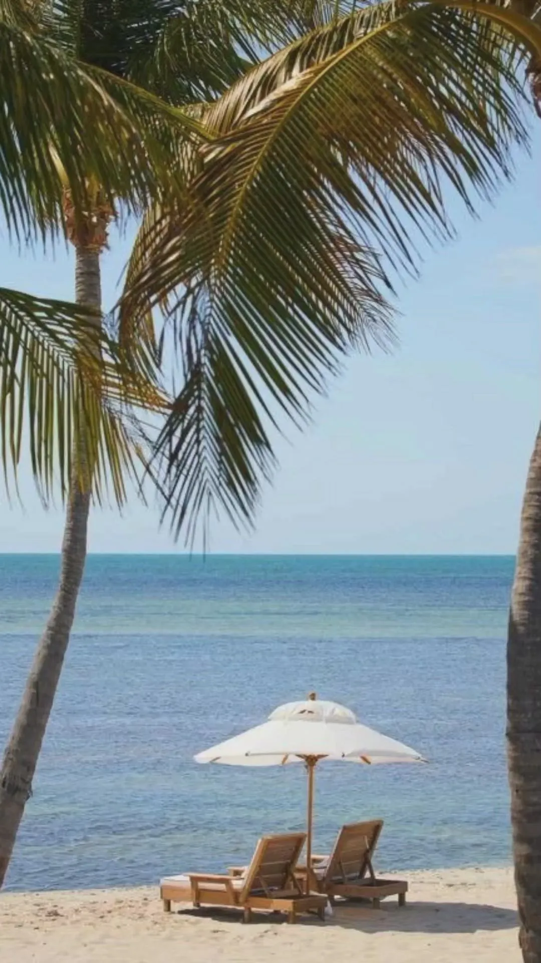 7307 pier house resort