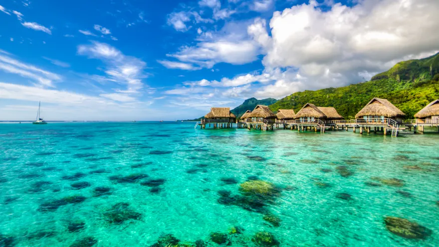 7316 cheap flights