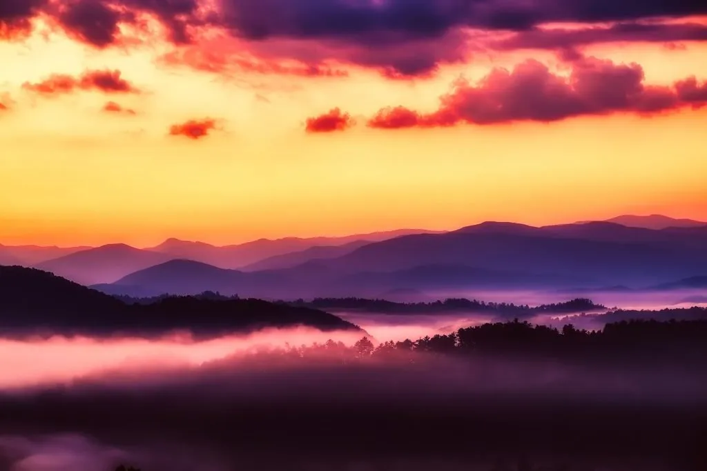 7330 blue ridge parkway honeymoon