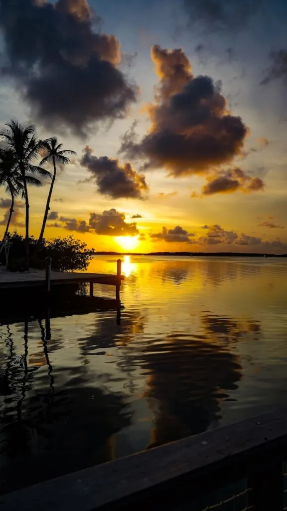 7331 couple beach sunset