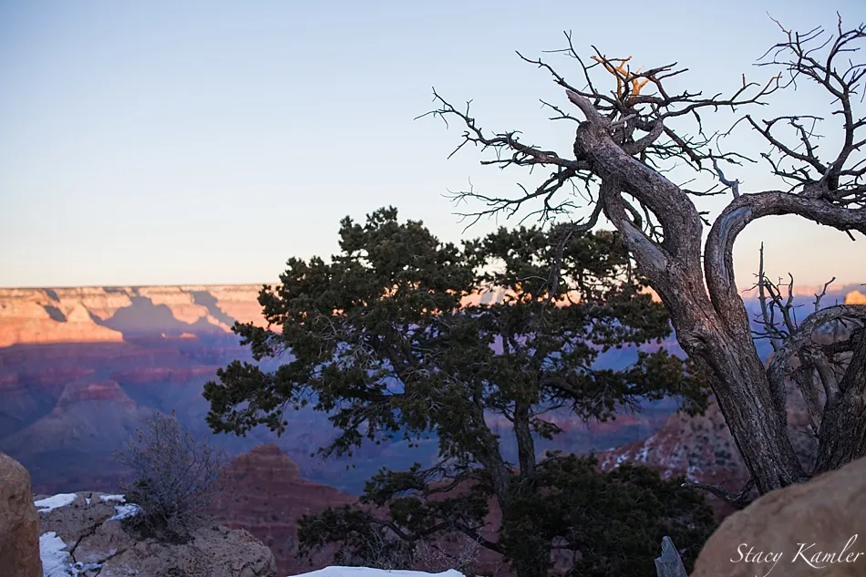 7335 grand canyon helicopter tour