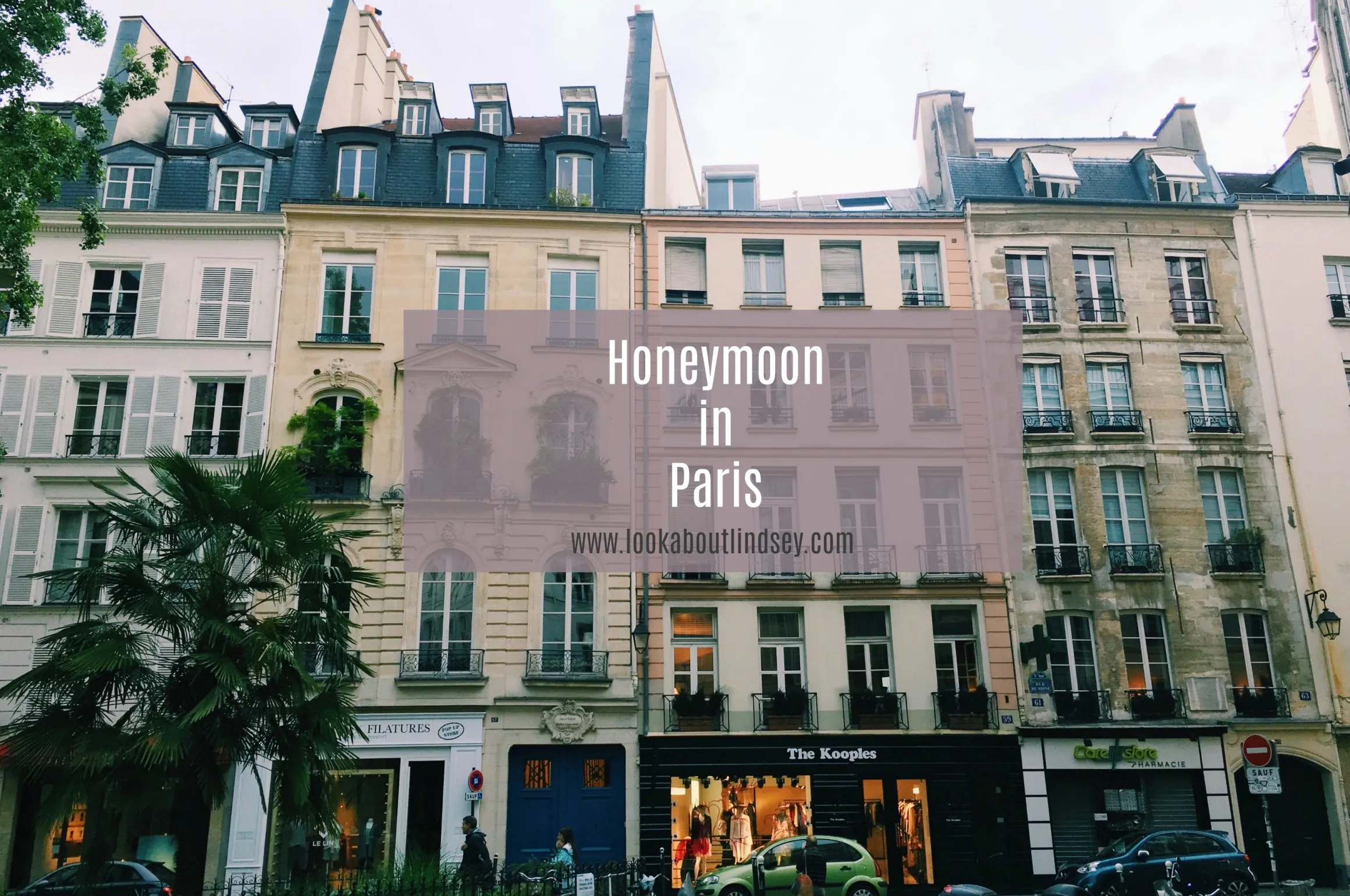 7368 champagne honeymoon
