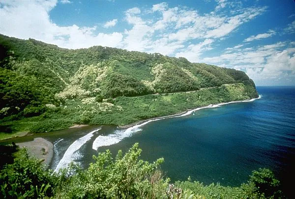 7377 maui honeymoon