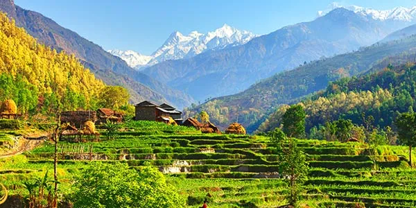 7389 pokhara honeymoon