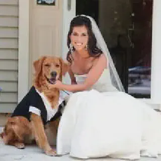 /img/7390-wedding-planning.webp