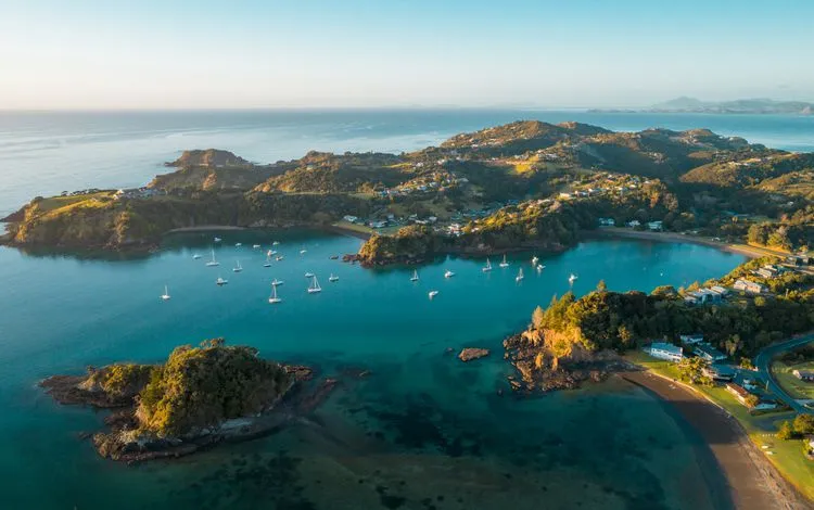7397 new zealand views