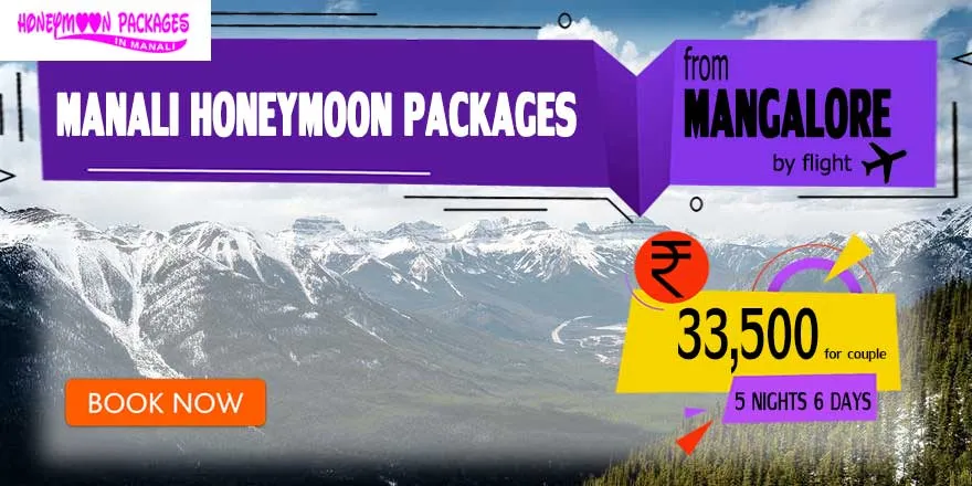 7408 beas river manali