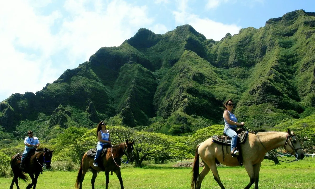 7414 couple snorkeling hawaii