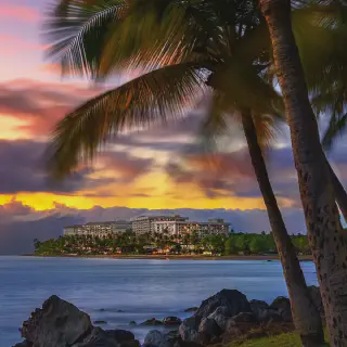 /img/7414-hawaii-couple-lei.webp