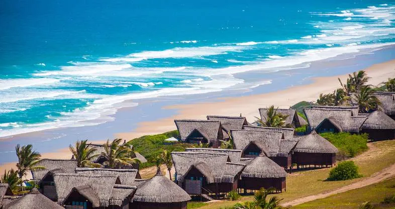 7436 mozambique market