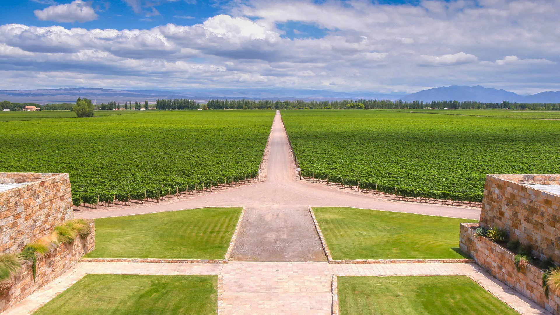 7450 mendoza wine honeymoon