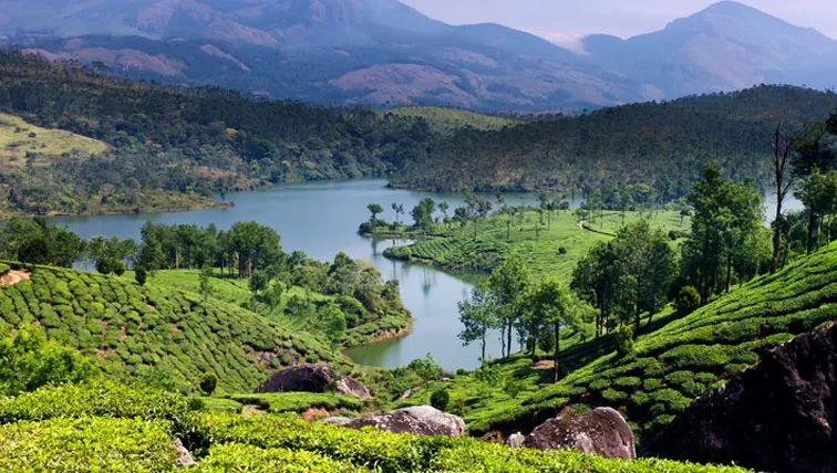 7452 wayanad hills