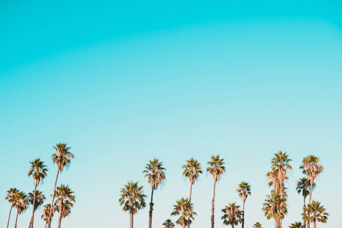 7457 san diego honeymoon