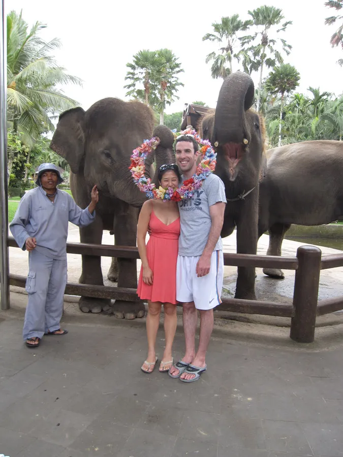 7466 ubud monkey forest