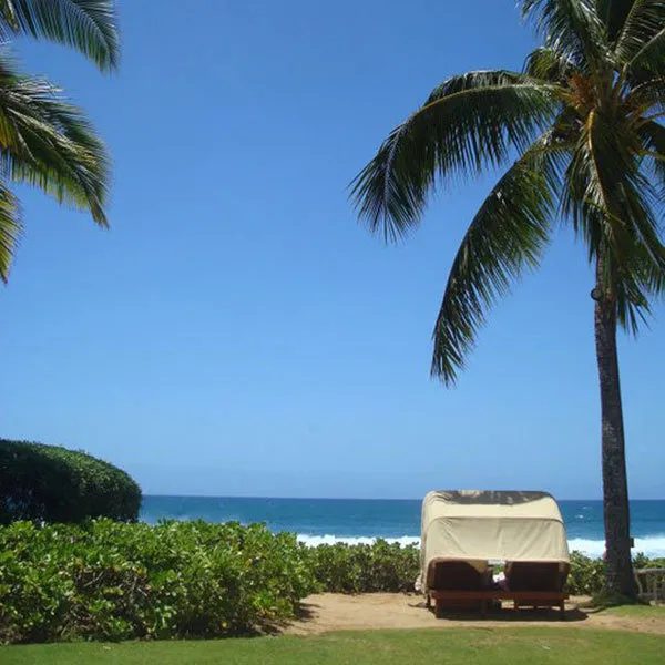 7483 maui honeymoon car
