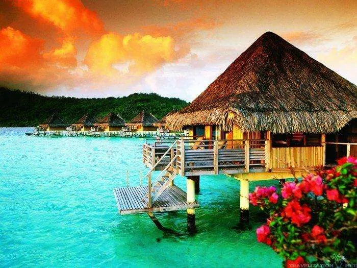7488 maldives honeymoon