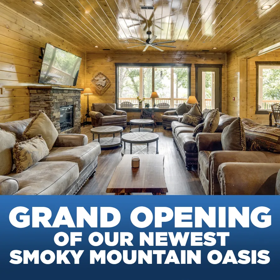 7497 black bear inn suites