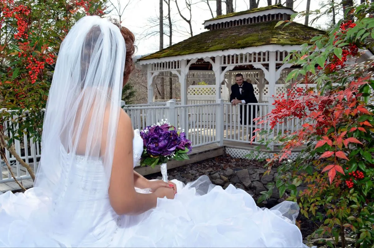 /img/7497-park-vista-hotel.webp