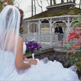 /img/7497-park-vista-hotel.webp