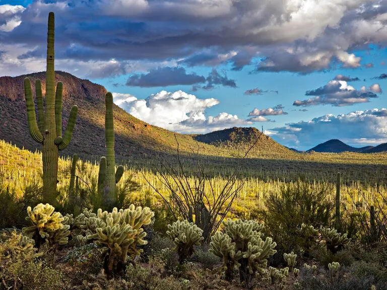7500 scottsdale honeymoon