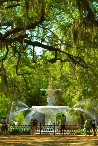7513 savannah honeymoon