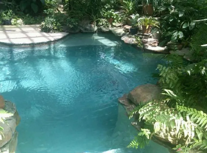 /img/7593-austin-honeymoon-couple.webp