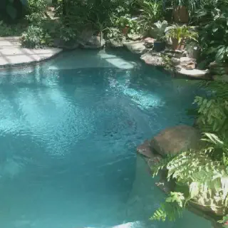 /img/7593-austin-honeymoon-couple.webp