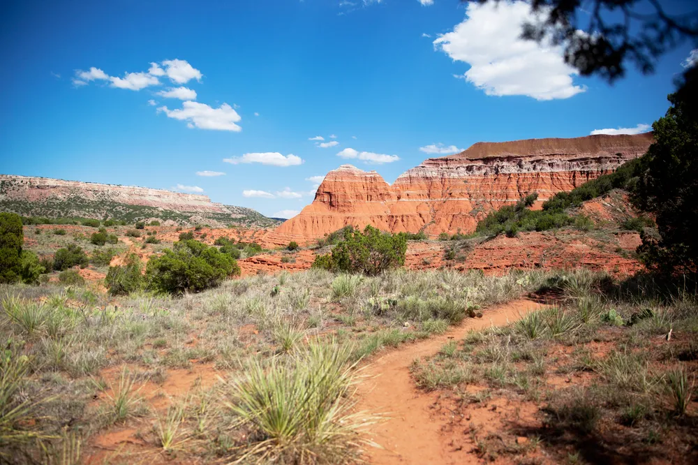 7593 big bend national park honeymoon