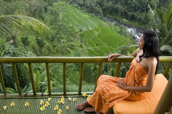 7604 darjeeling honeymoon overview