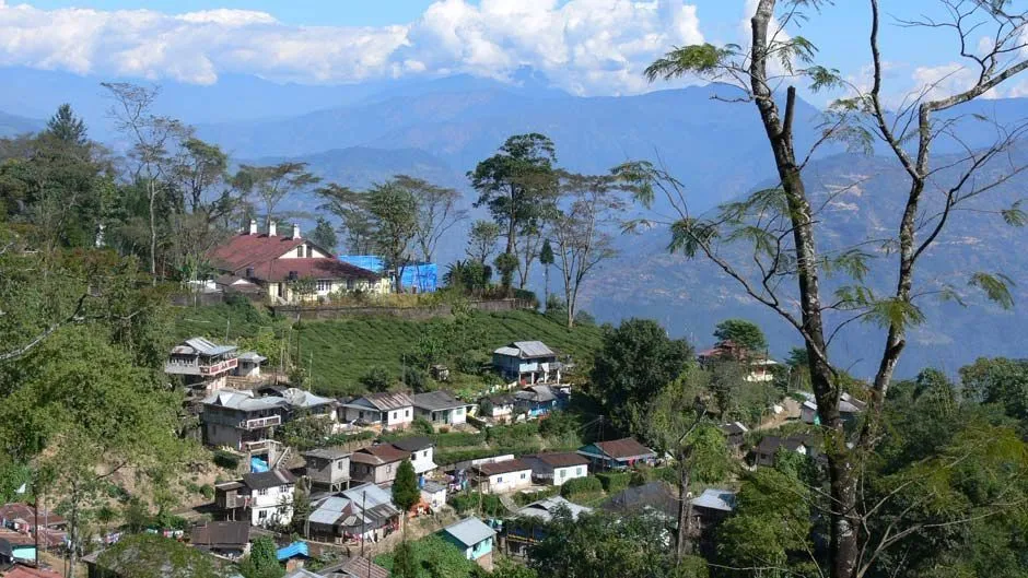 /img/7604-darjeeling-souvenirs.webp