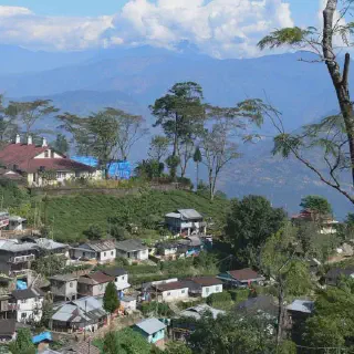 /img/7604-darjeeling-souvenirs.webp