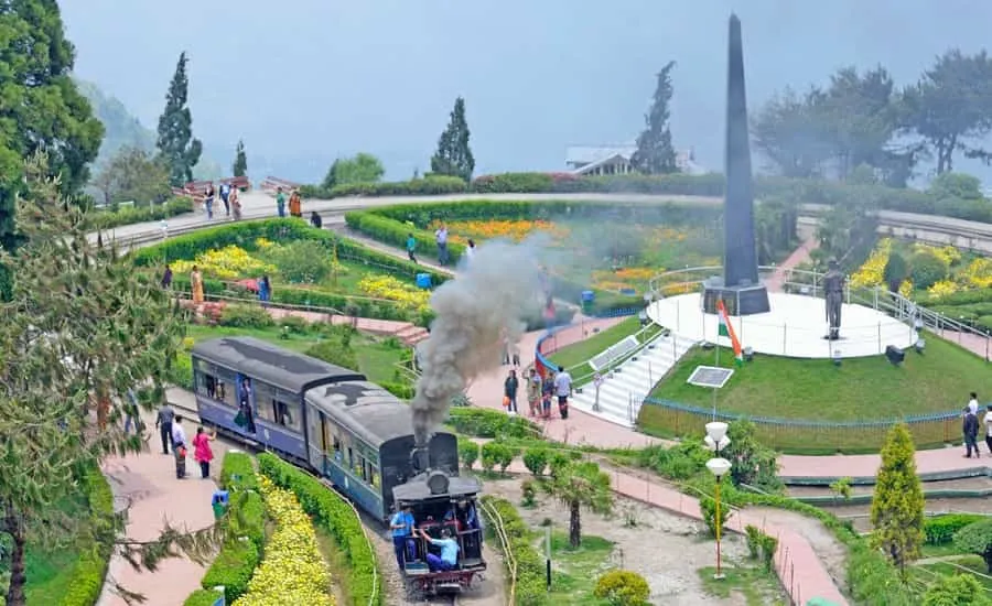7604 darjeeling tea garden