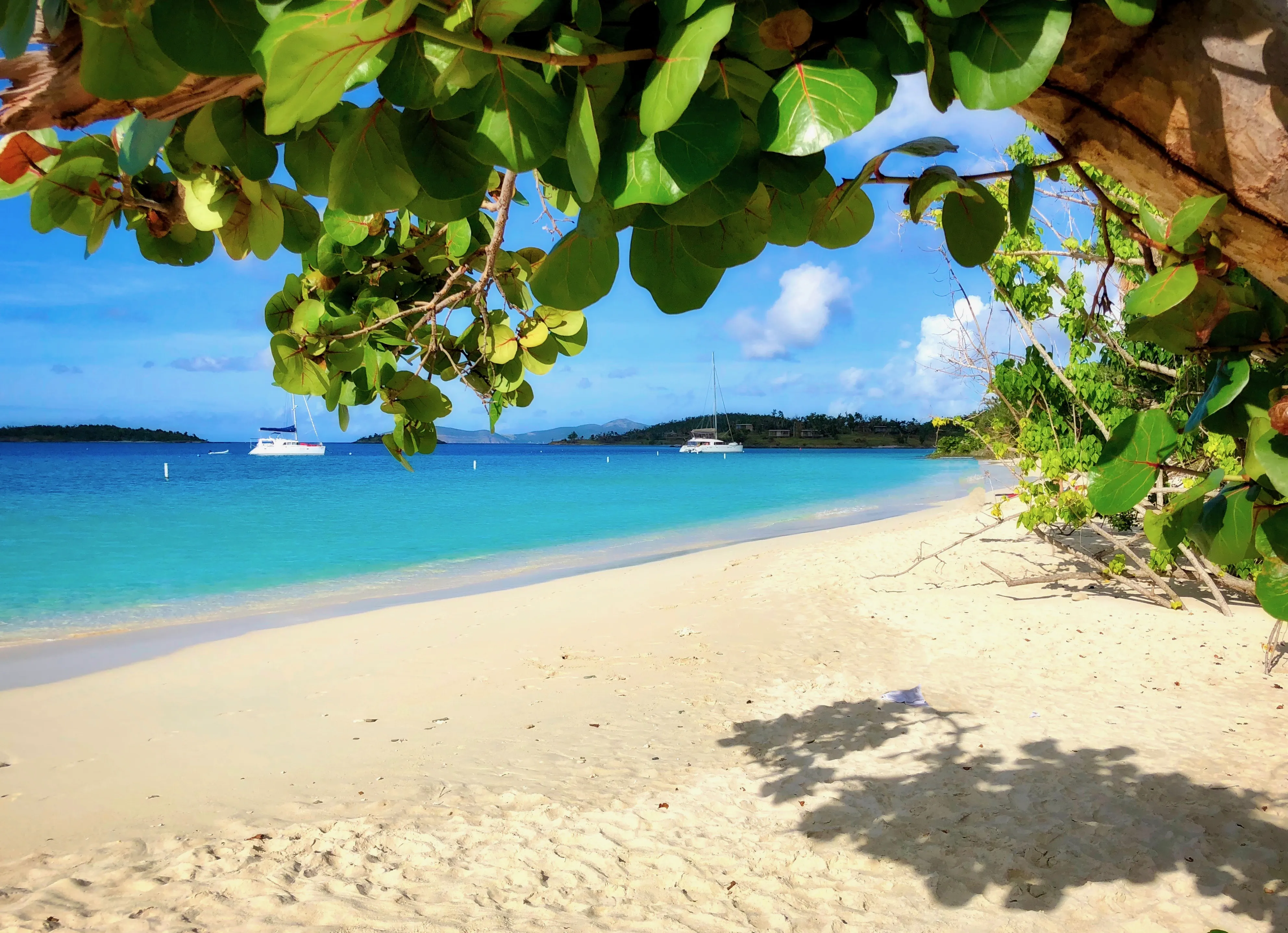 7608 bora bora honeymoon