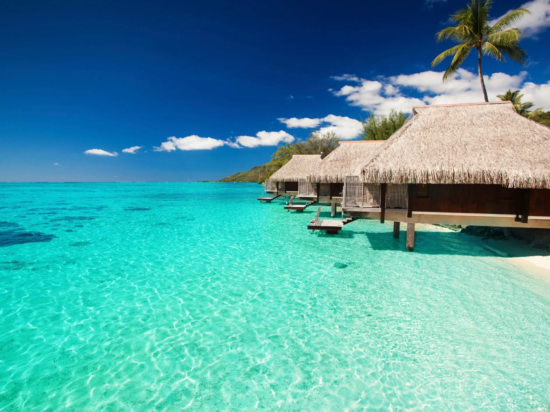 /img/7628-us-honeymoon.webp