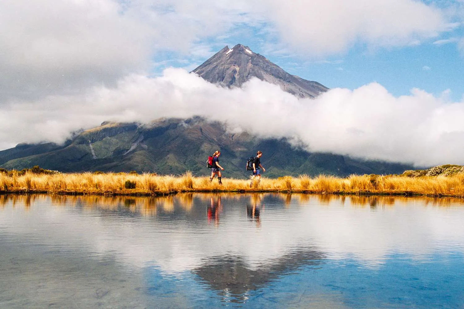 7630 nz honeymoon culture