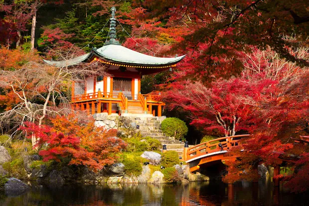 /img/7632-dining-couple-october.webp
