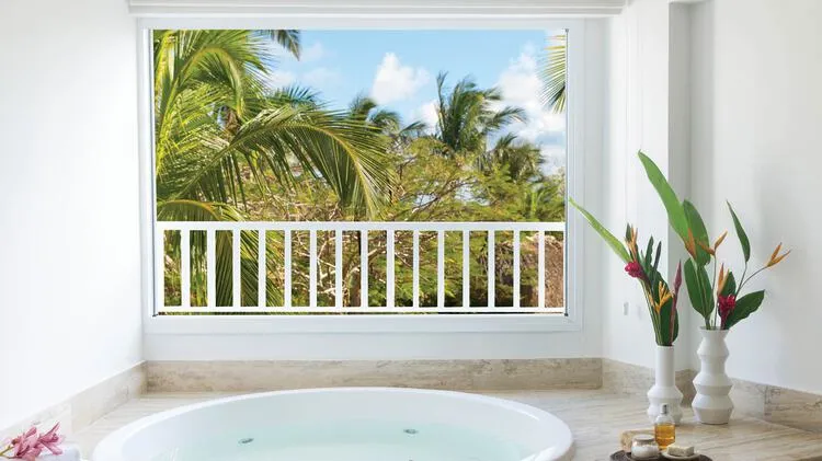 7676 paradisus punta cana