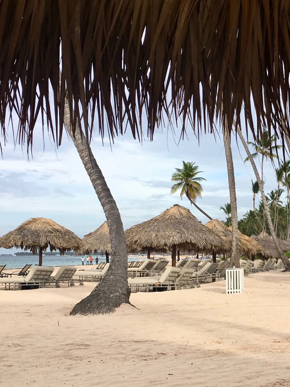 /img/7676-romantic-dinner-punta-cana.webp