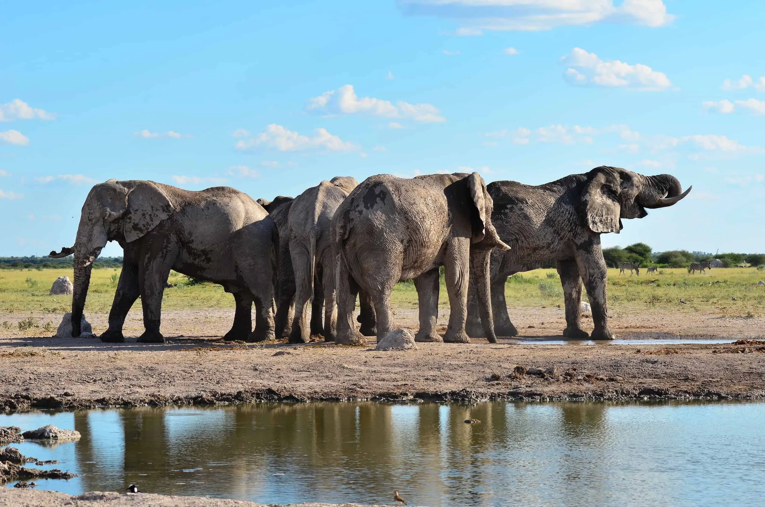 /img/7692-botswana-mokoro-ride.webp
