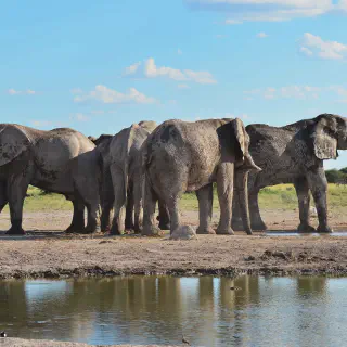 /img/7692-botswana-mokoro-ride.webp