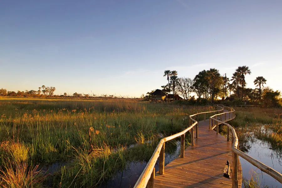 7692 botswana sunset cruise