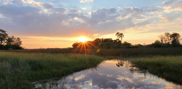 7692 botswana wildlife viewing