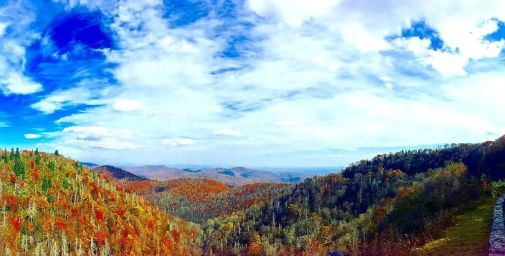 7696 asheville honeymoon restaurants
